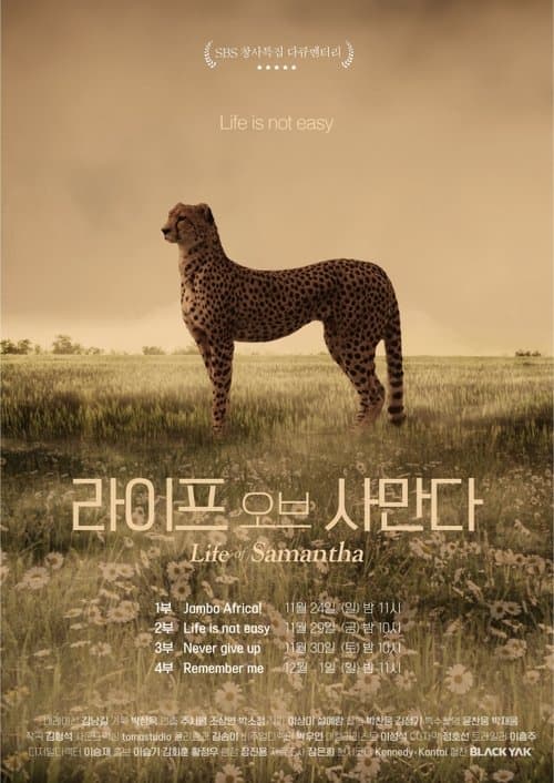 Title poster