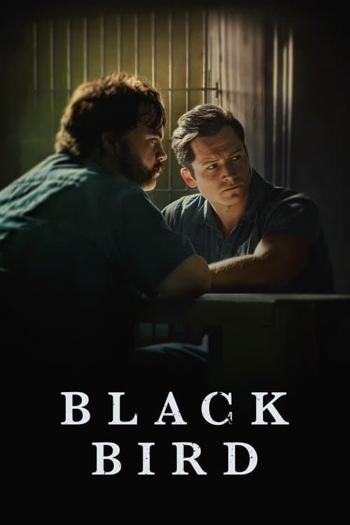 undefined poster