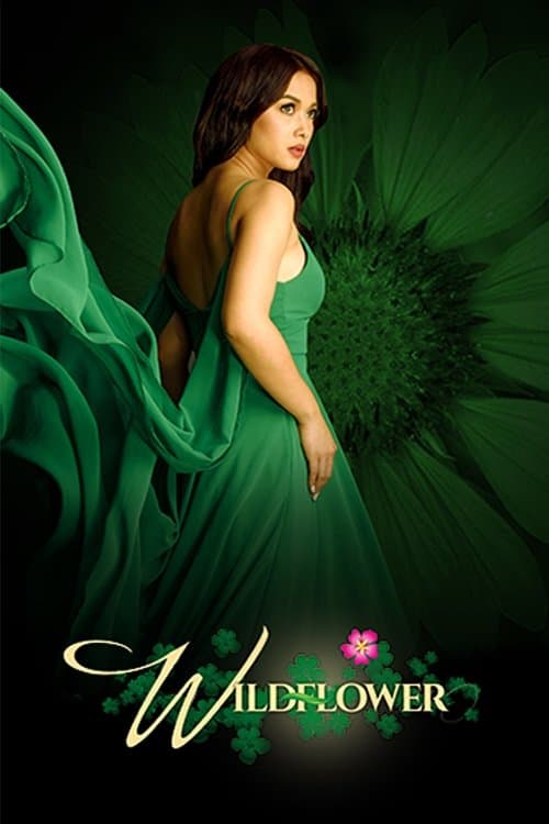 undefined poster