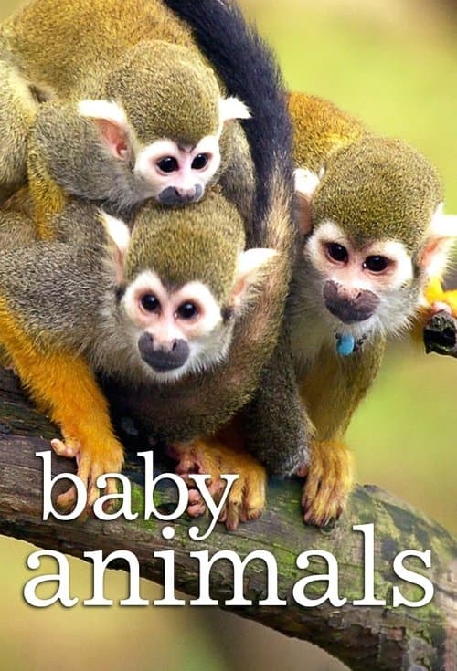 Title poster