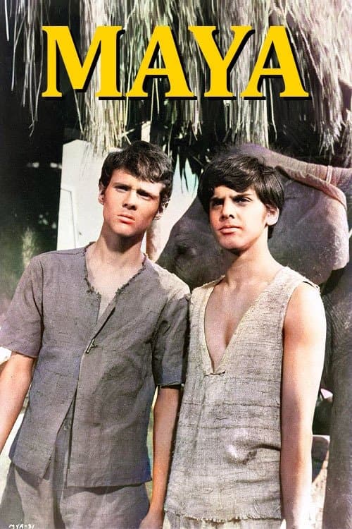 undefined poster