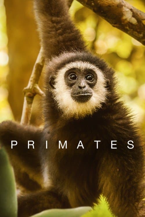 undefined poster