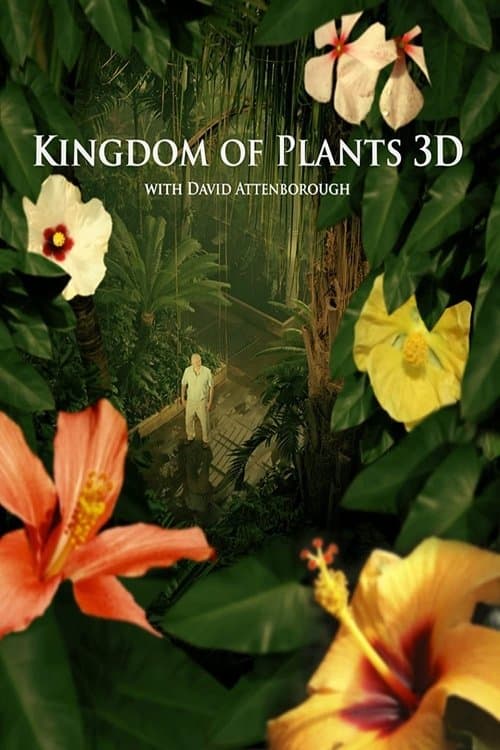 undefined poster