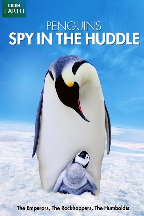 Title poster