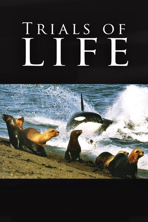 Title poster