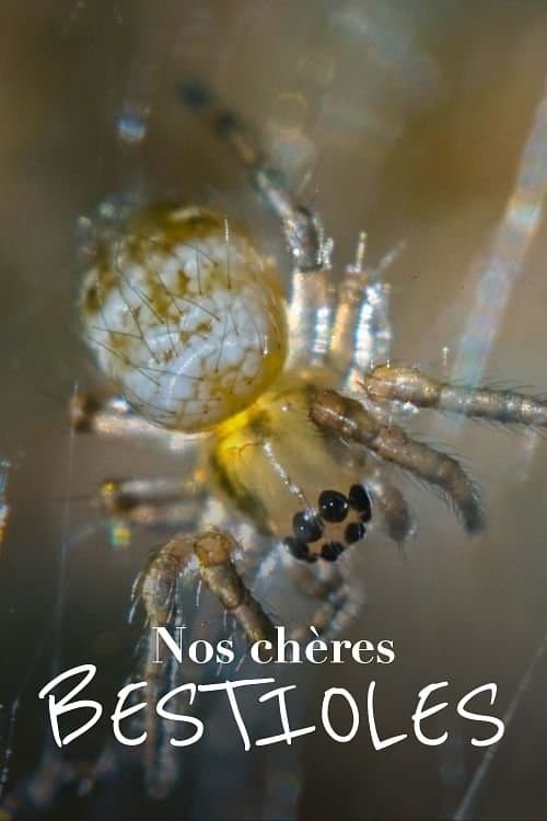 Title poster