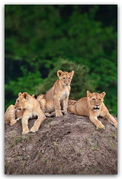 undefined poster