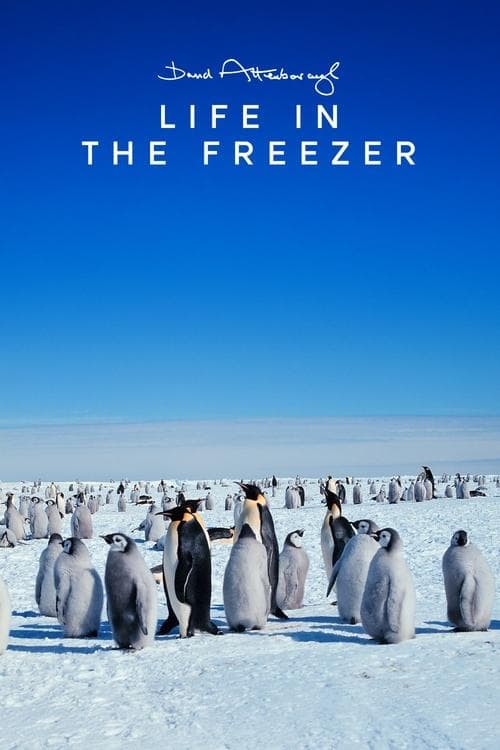 undefined poster