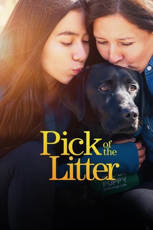 Title poster