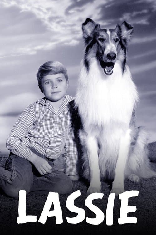 undefined poster