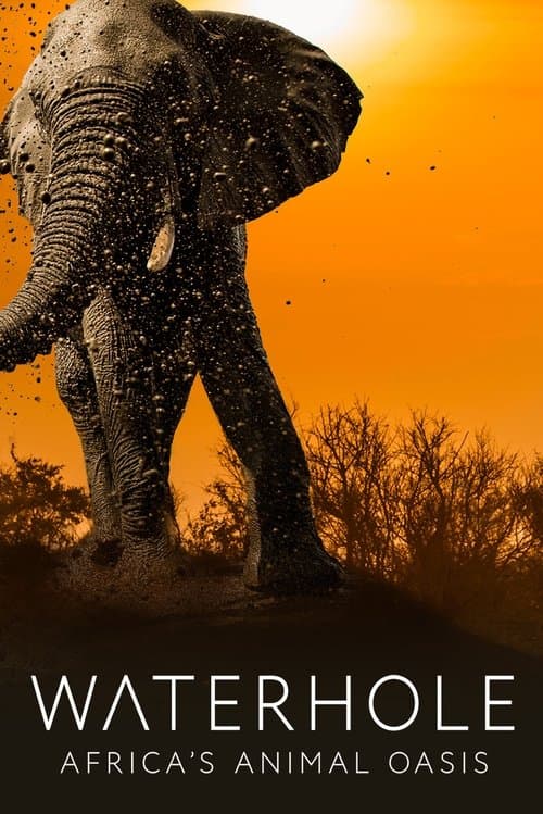 Title poster