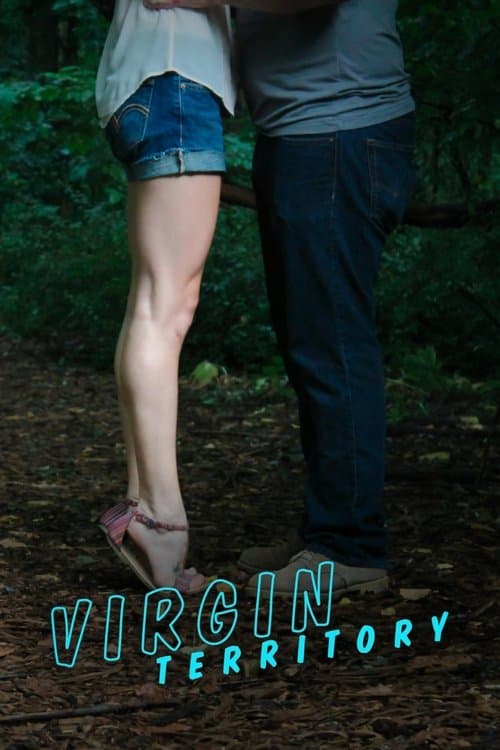 undefined poster
