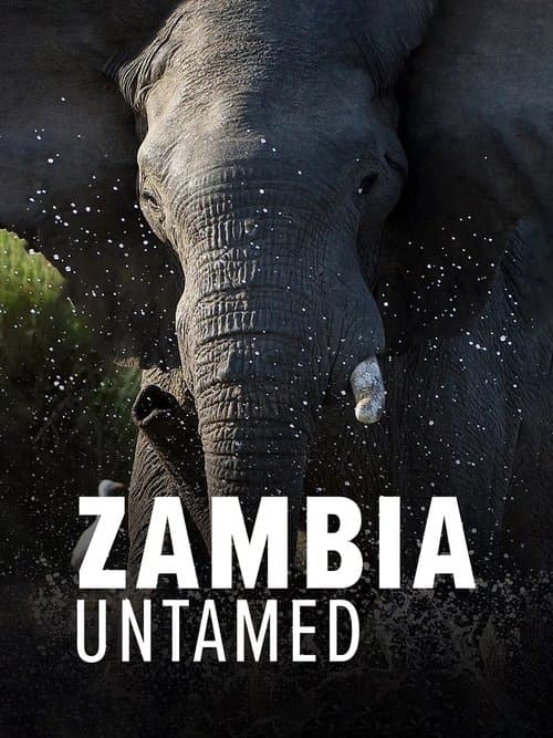 Title poster