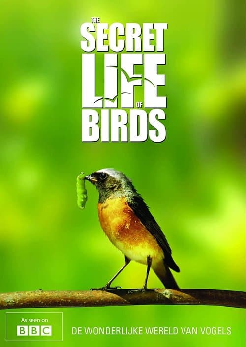 undefined poster