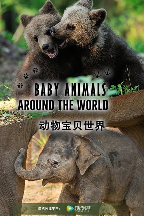 Title poster