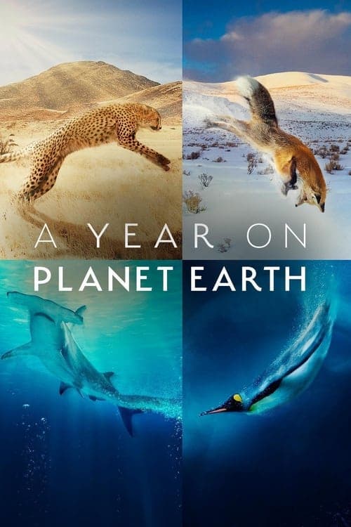 Title poster